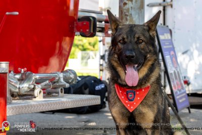 Le RENDEZ-VOUS FAMILIAL des POMPIERS de MONTRÉAL 2026 - 2026-APM-P116-0445-WEB
